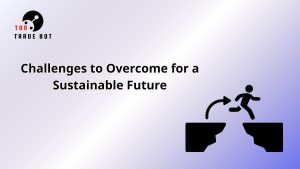 future of digital collectibles